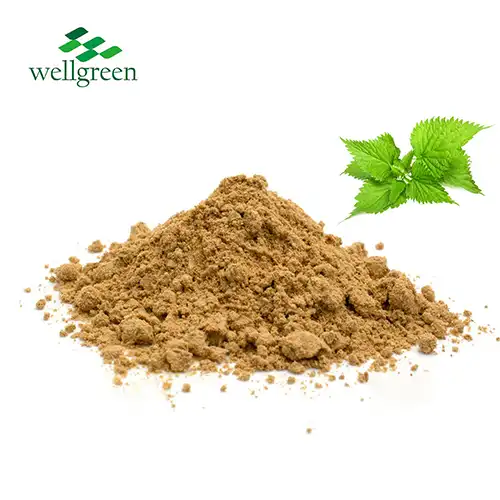 Urtica Dioica Extract